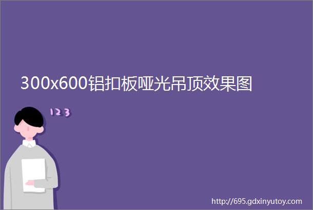 300x600铝扣板哑光吊顶效果图