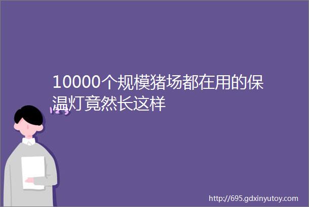 10000个规模猪场都在用的保温灯竟然长这样