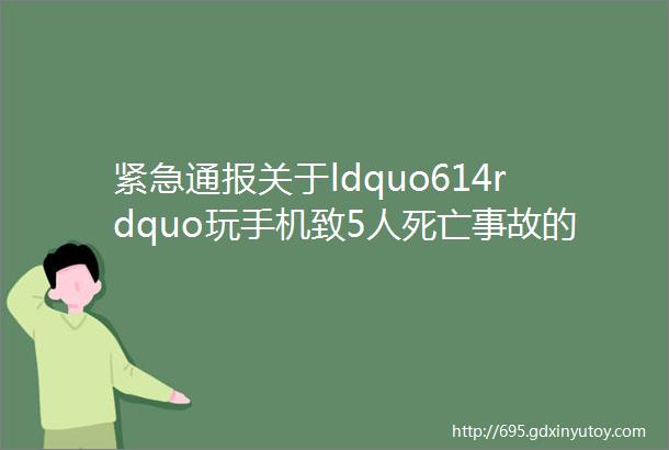 紧急通报关于ldquo614rdquo玩手机致5人死亡事故的通报附监控视频