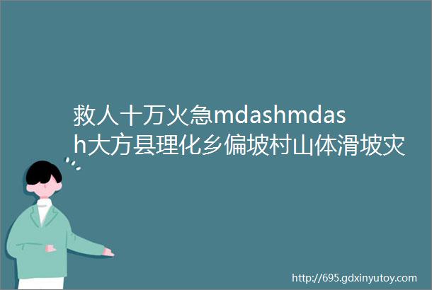 救人十万火急mdashmdash大方县理化乡偏坡村山体滑坡灾害救援速记