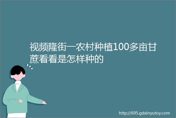 视频隆街一农村种植100多亩甘蔗看看是怎样种的