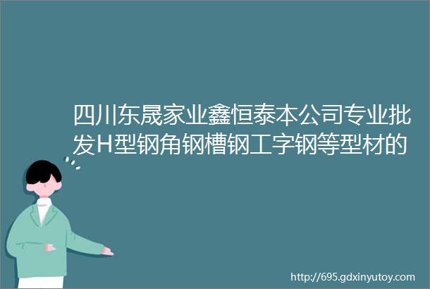 四川东晟家业鑫恒泰本公司专业批发H型钢角钢槽钢工字钢等型材的现货贸易公司