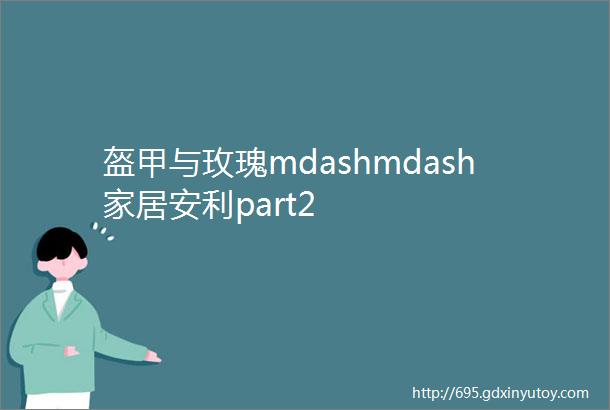 盔甲与玫瑰mdashmdash家居安利part2