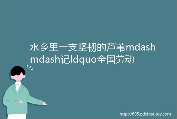 水乡里一支坚韧的芦苇mdashmdash记ldquo全国劳动模范rdquo宋红浩