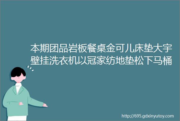 本期团品岩板餐桌金可儿床垫大宇壁挂洗衣机以冠家纺地垫松下马桶Amiro美妆镜KLJ灯光设计NEWLAIT冰激凌